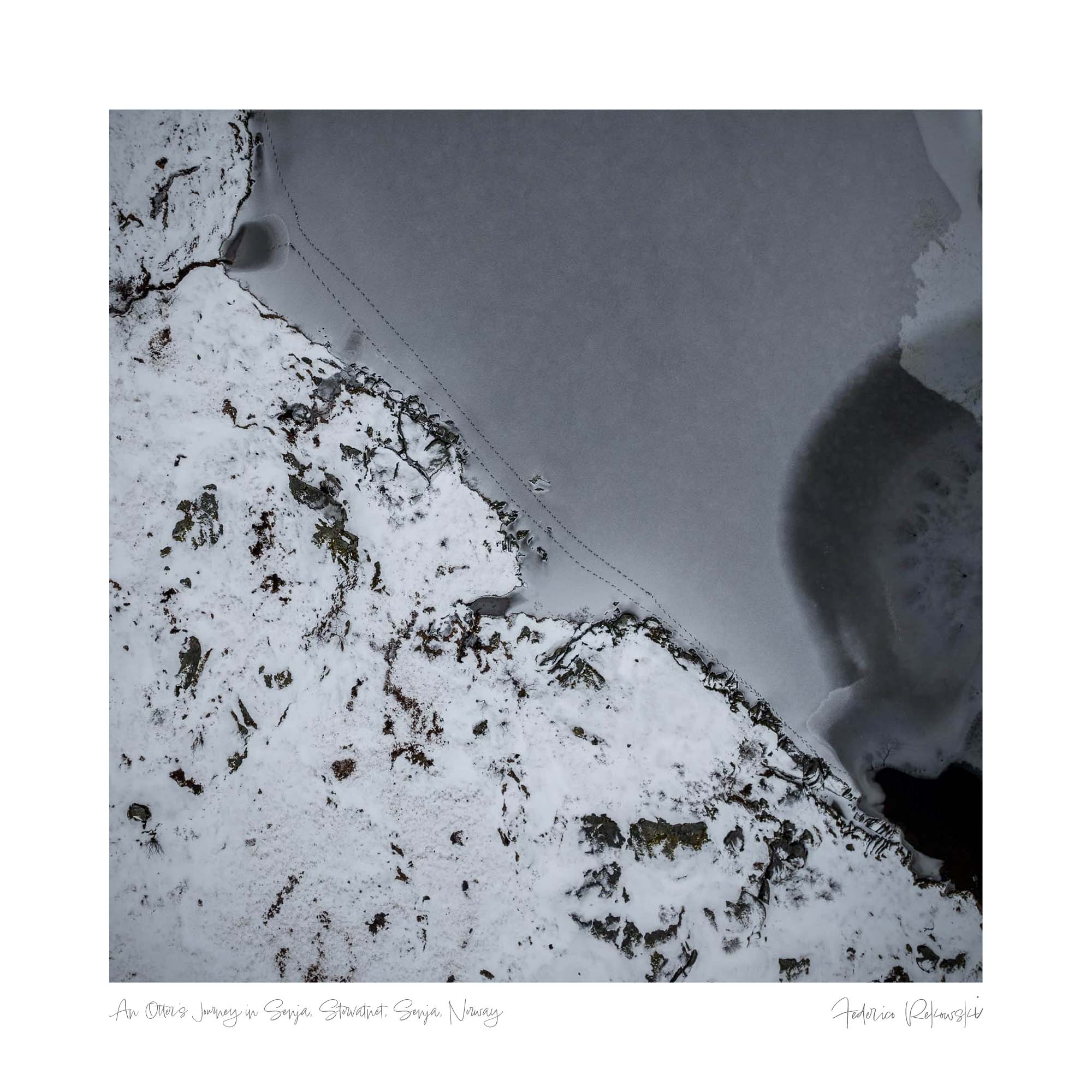 Snow-covered landscape at Storvatnet, Norway, with a trail of small animal footprints, possibly an otter, leading towards the icy water.