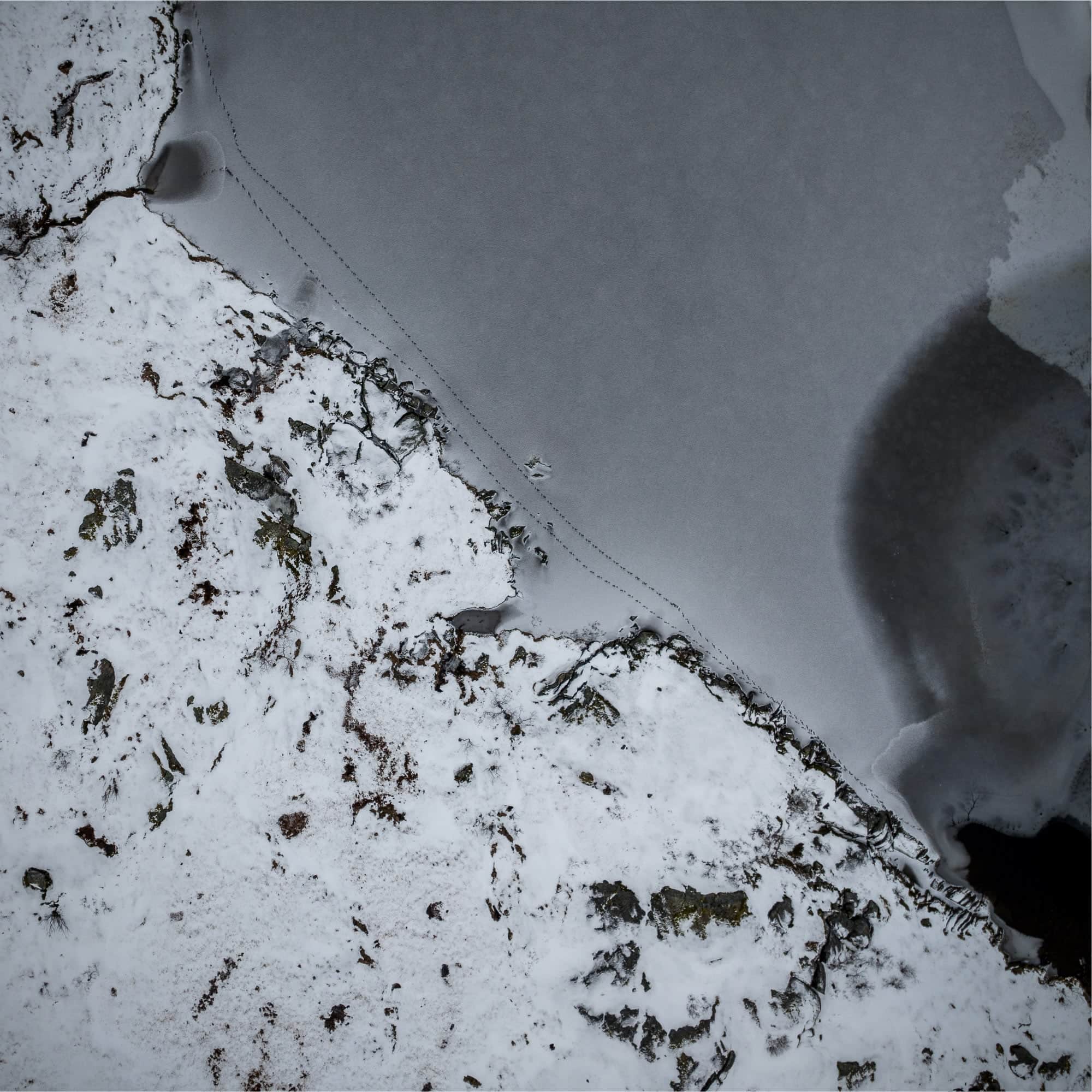 Snow-covered landscape at Storvatnet, Norway, with a trail of small animal footprints, possibly an otter, leading towards the icy water.