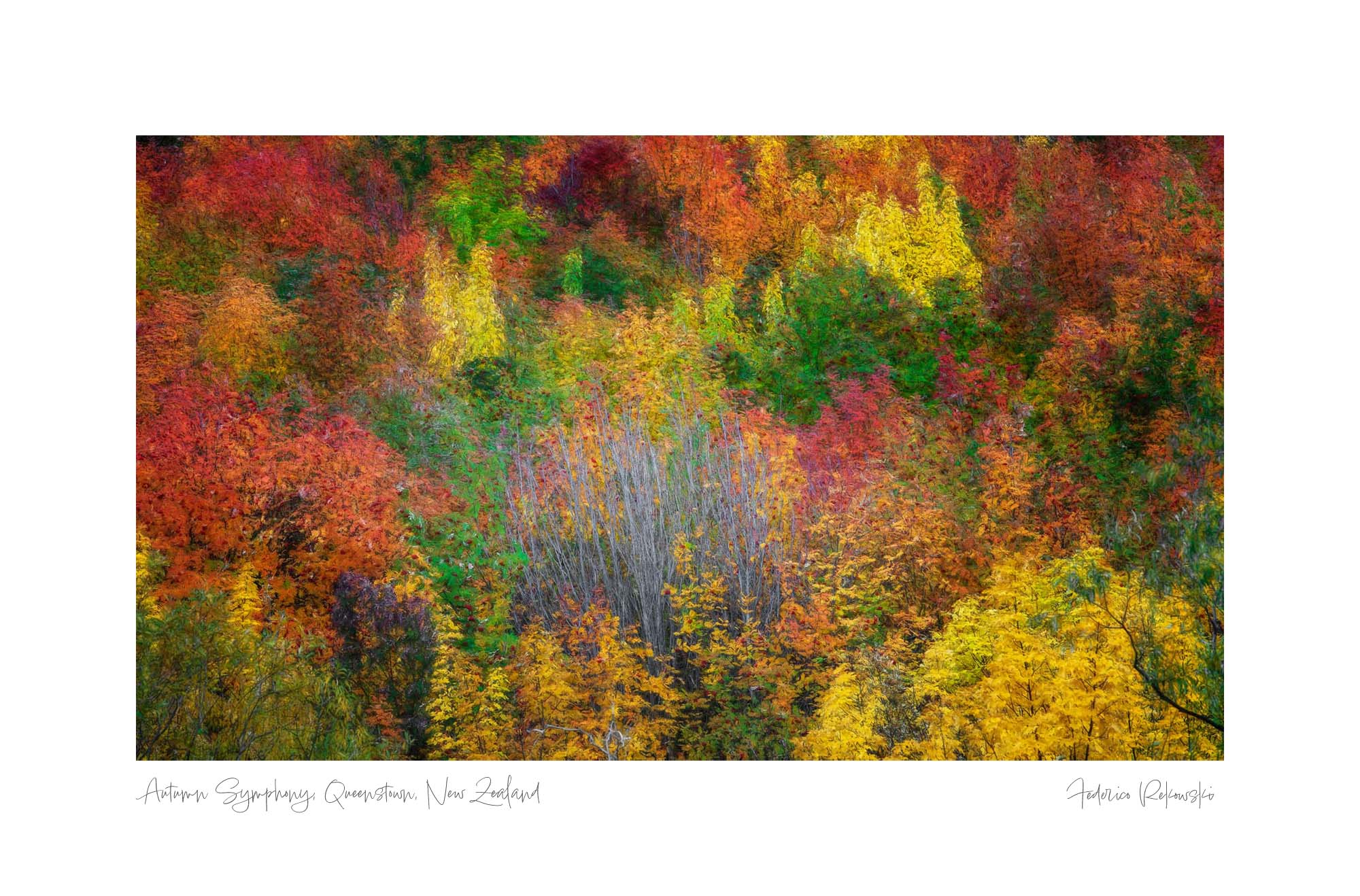 A blur of autumn colors in a Queenstown forest, with a mix of red, orange, and yellow leaves creating a dreamlike landscape.