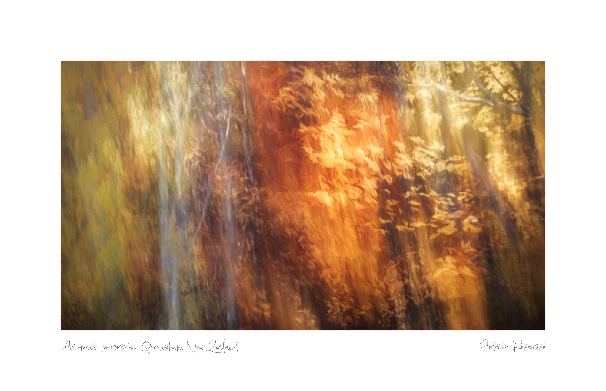 Abstract, impressionistic portrayal of autumn leaves in Queenstown, New Zealand, with a soft focus and a blend of warm and cool tones.