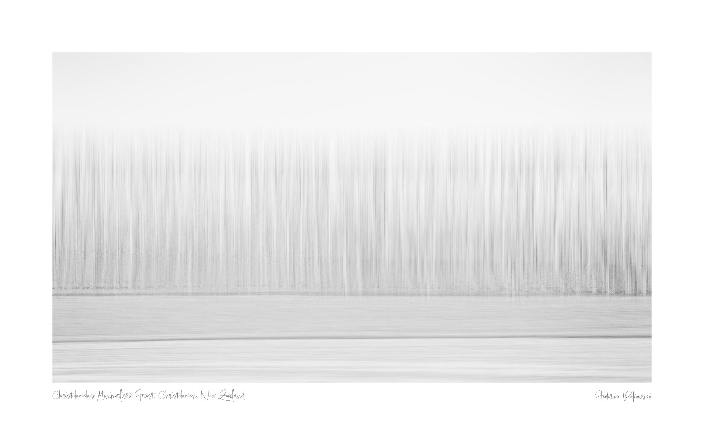 Abstract minimalist representation of a forest in Christchurch, New Zealand, with tree-like vertical lines in a gradient of white to gray.