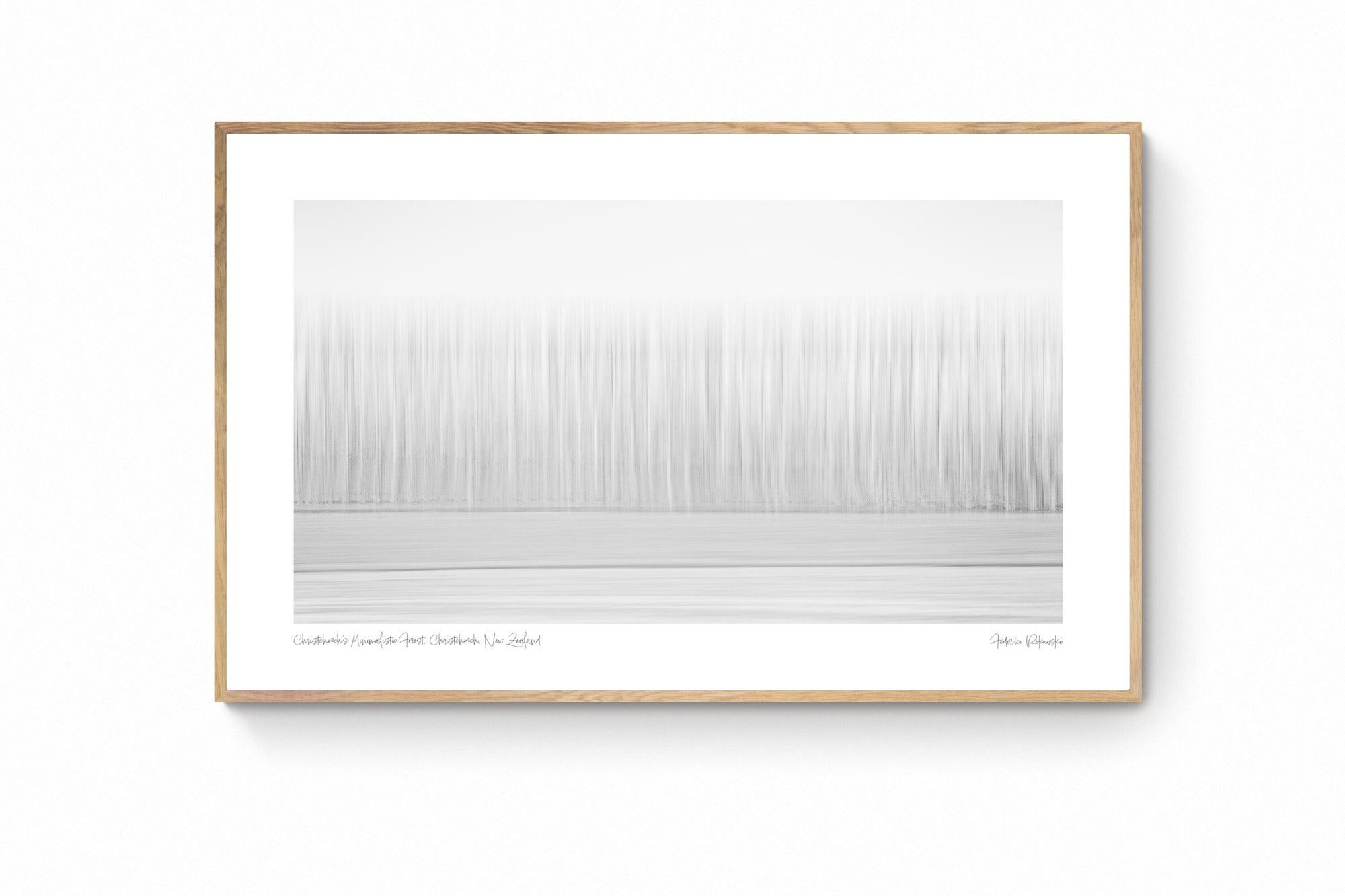 Abstract minimalist representation of a forest in Christchurch, New Zealand, with tree-like vertical lines in a gradient of white to gray.