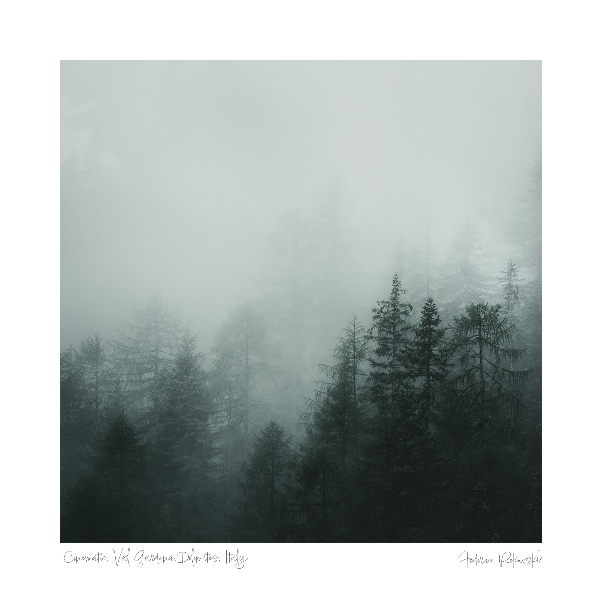 Tall pine trees shrouded in mist, creating a serene, cinematic atmosphere in the Dolomites, Italy.