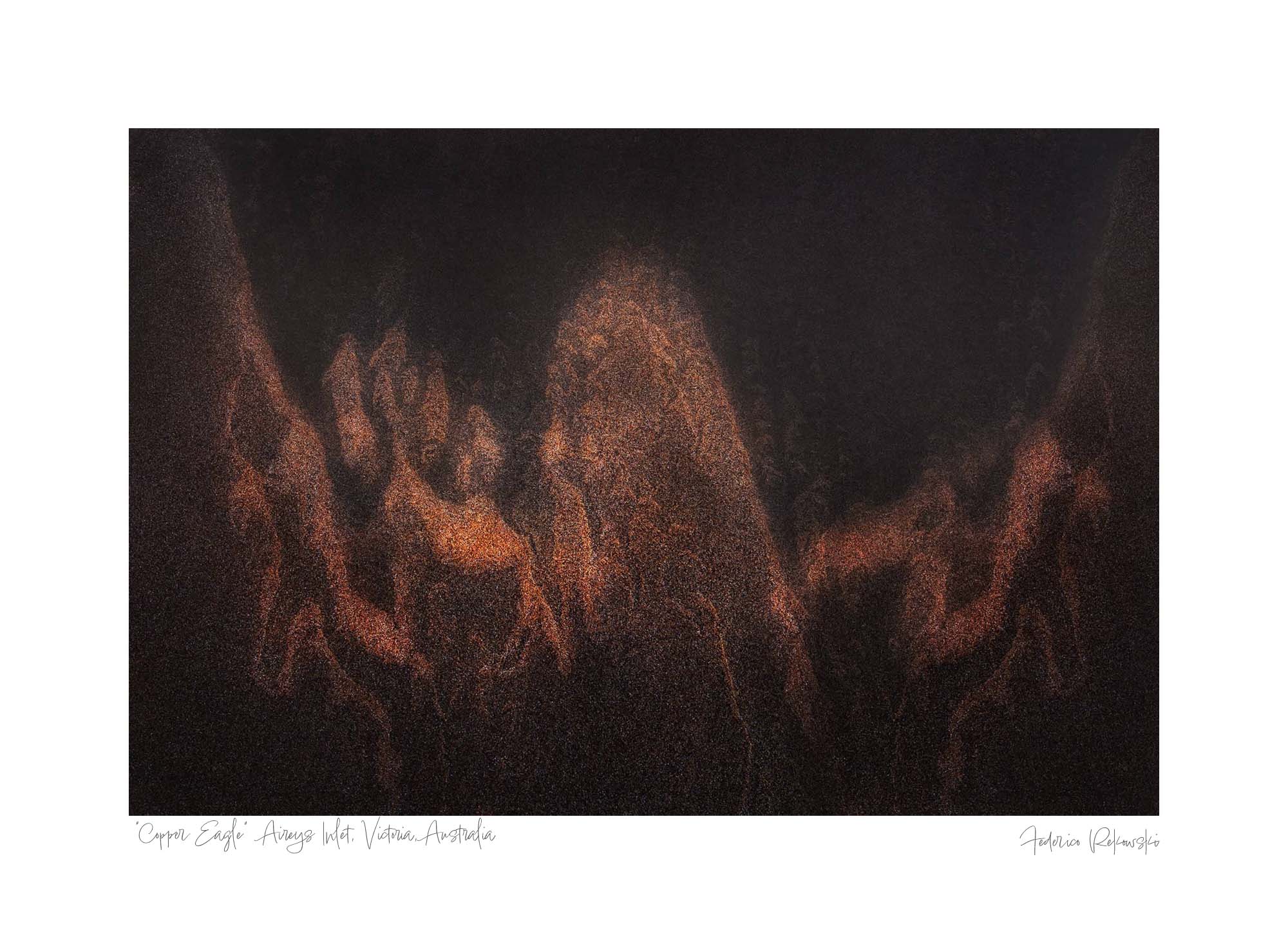 Abstract image resembling an eagle with copper-toned highlights on the sandy surface at Aireys Inlet, Victoria.