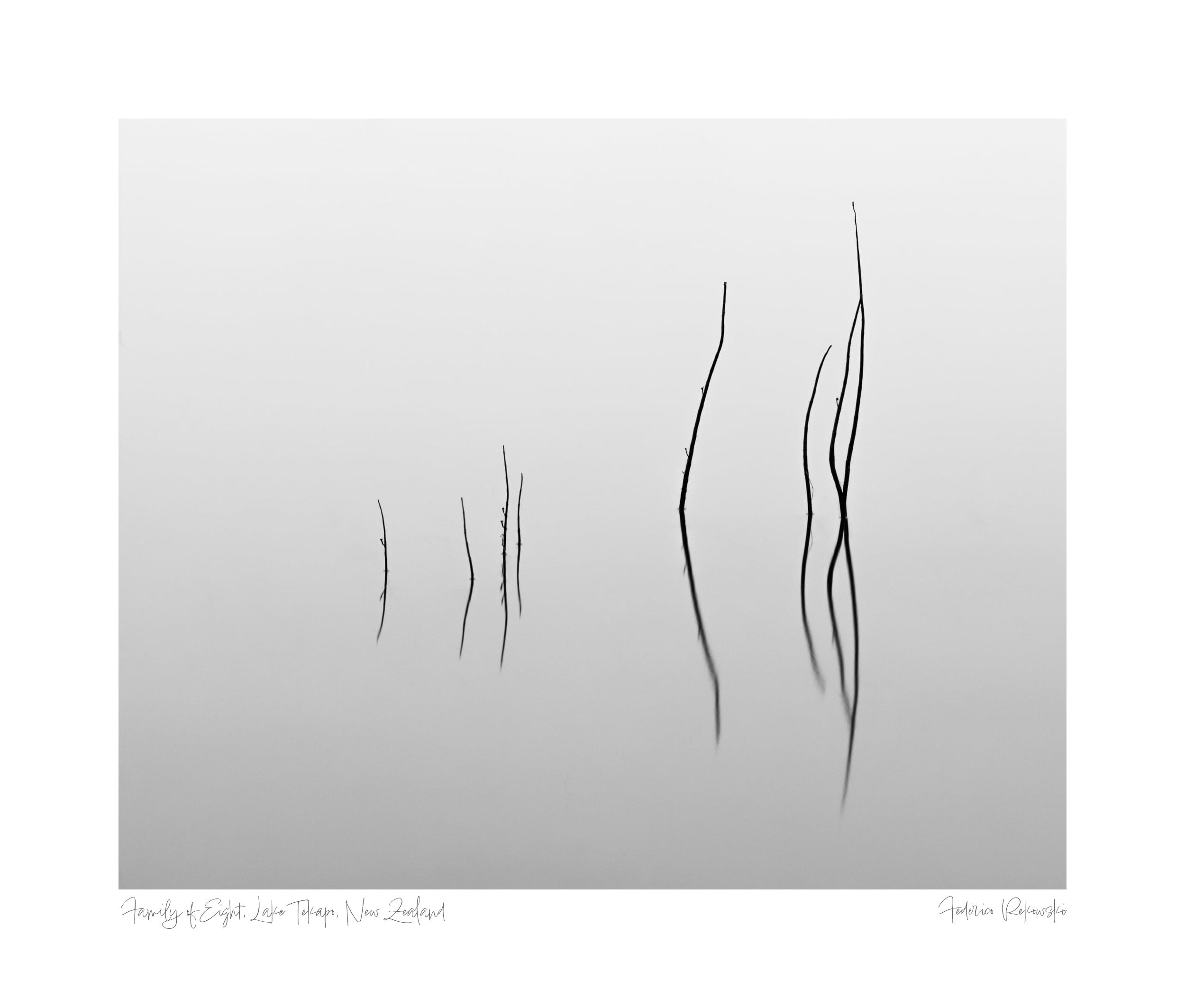 Minimalistic black and white image of eight distinct branches against the serene backdrop of Lake Tekapo, titled 'Family of Eight.