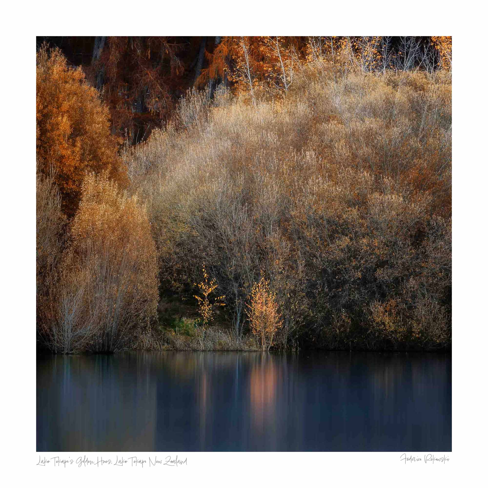 Golden autumn foliage by the peaceful shores of Lake Tekapo, New Zealand, with reflections in the calm water.