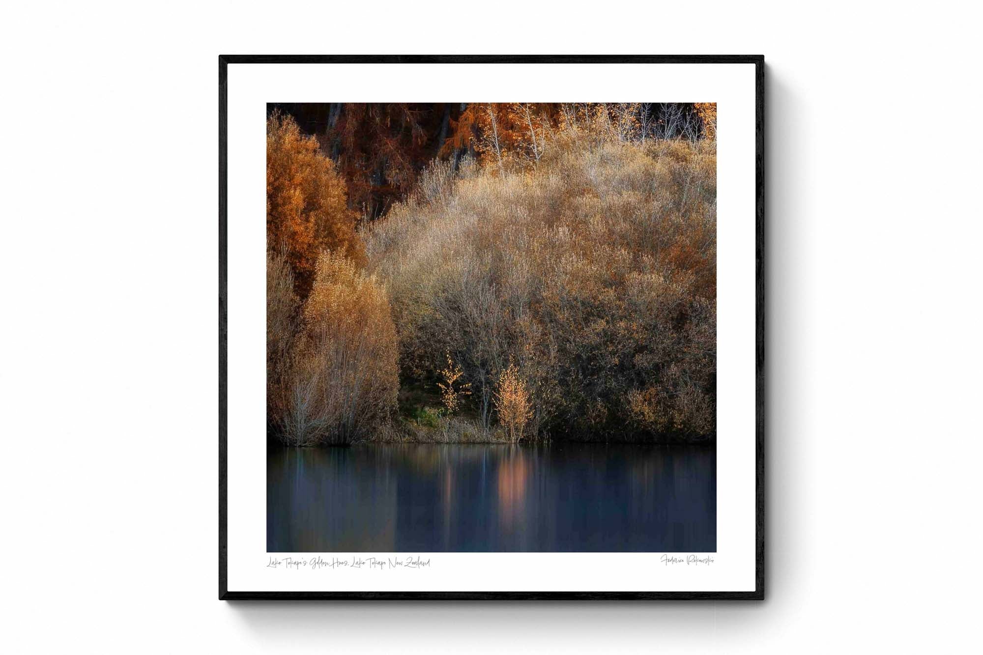 Golden autumn foliage by the peaceful shores of Lake Tekapo, New Zealand, with reflections in the calm water.