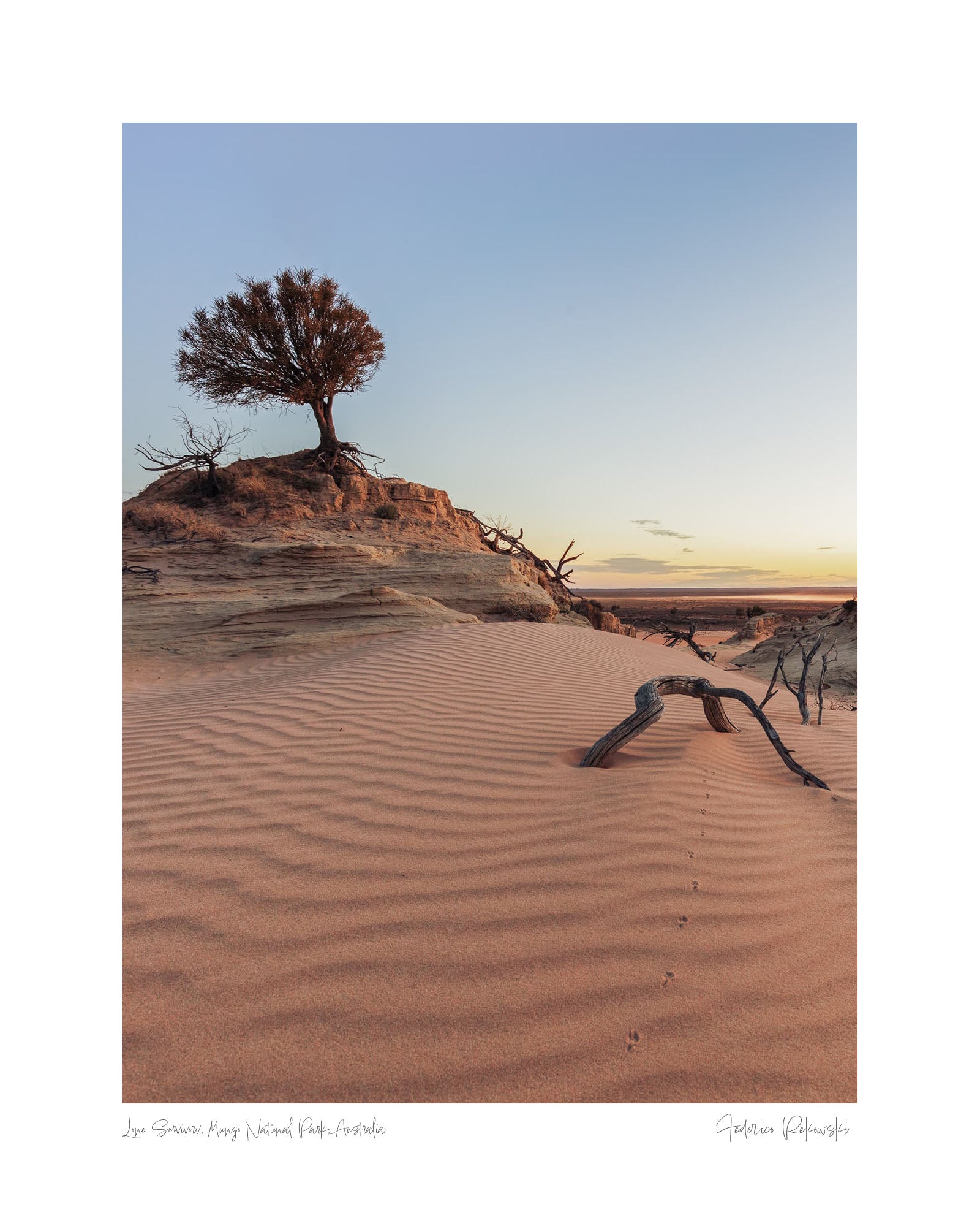 Sunset at Mungo National Park, Australia, with a solitary tree atop a sand dune under a vast, dusky sky.