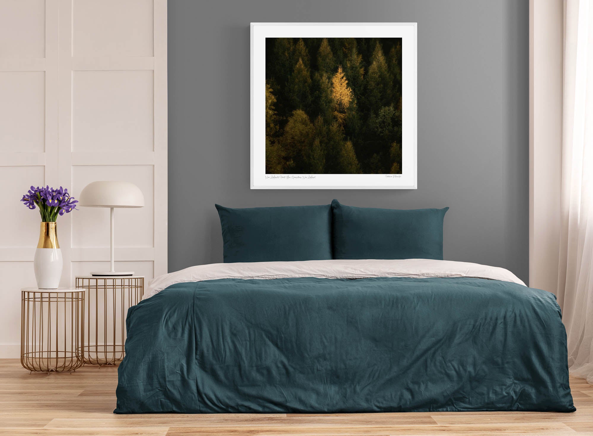 A single tree stands illuminated in gold against the dark green backdrop of a dense forest in New Zealand.