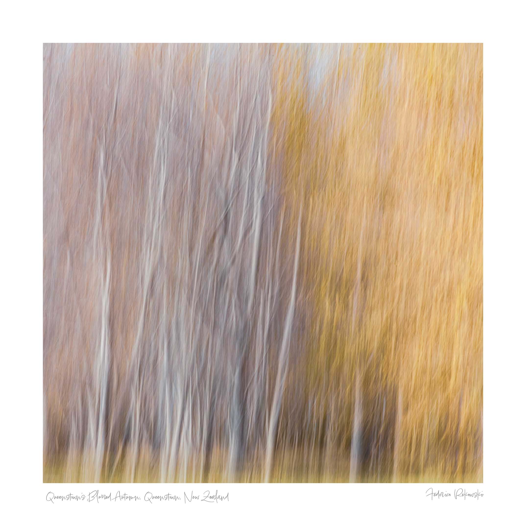 Abstract, blurred image of autumn trees in Queenstown, resembling an impressionistic painting with soft white and golden strokes.