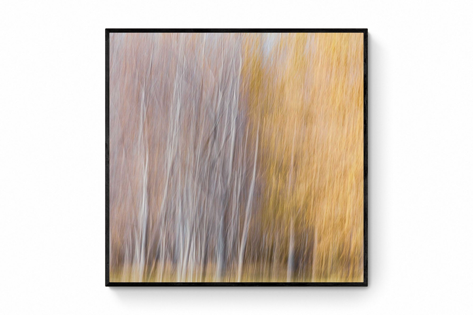 Abstract, blurred image of autumn trees in Queenstown, resembling an impressionistic painting with soft white and golden strokes.