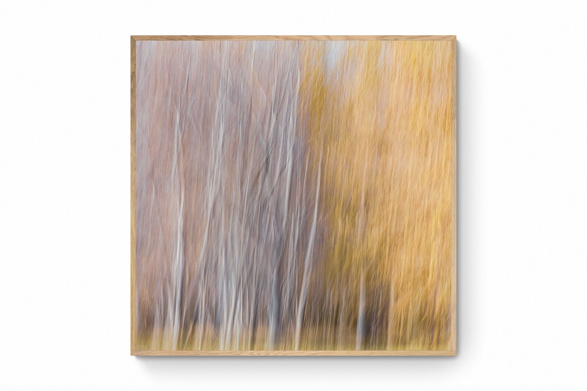 Abstract, blurred image of autumn trees in Queenstown, resembling an impressionistic painting with soft white and golden strokes.