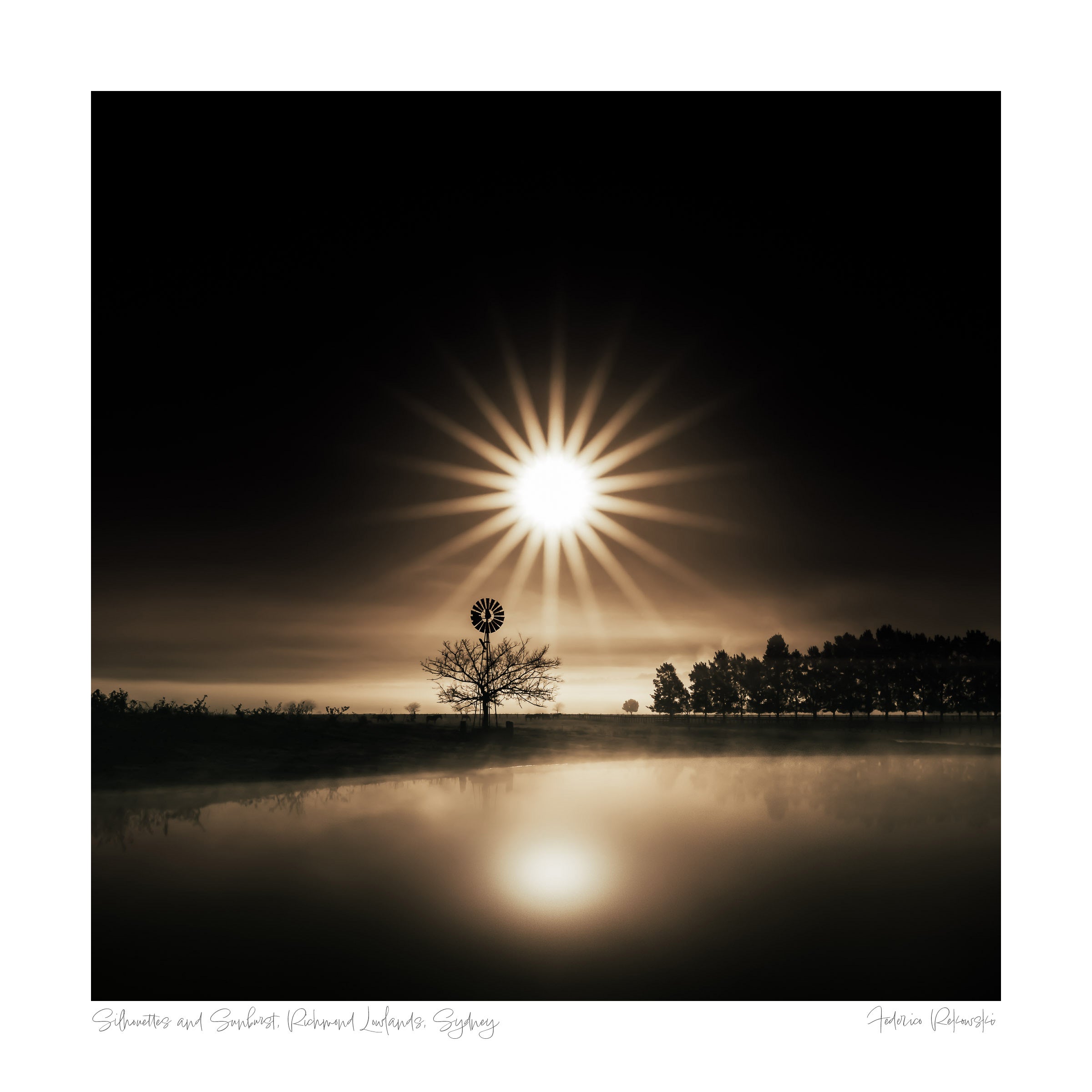 A serene sunrise with a lone tree silhouette against a bright sunburst, reflected on a calm water surface.