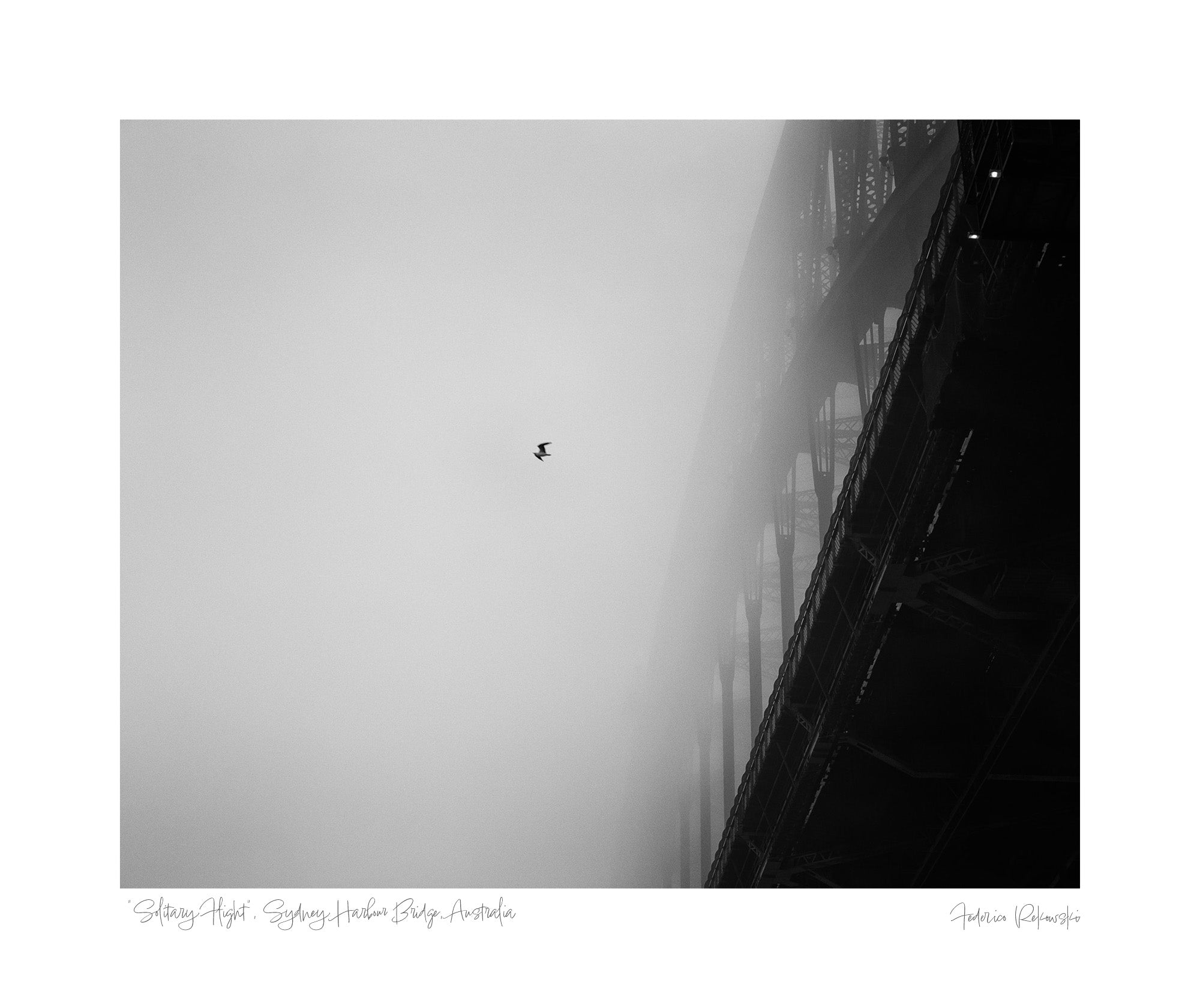 Minimalist black and white photo of a single bird flying near the partially visible Sydney Harbour Bridge engulfed in fog.