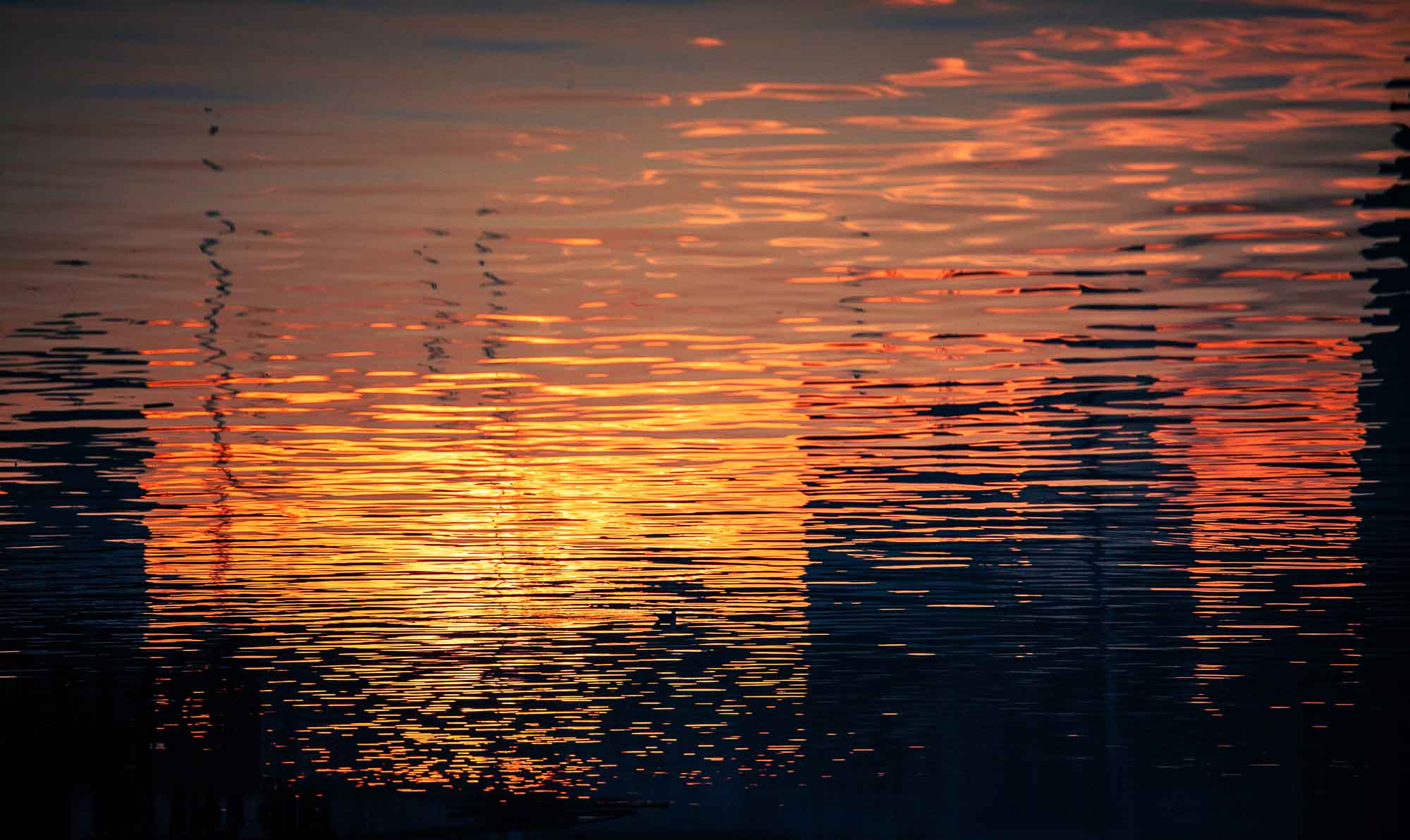 Sunrise Reflections at Sydney Harbour, Sydney, Australia