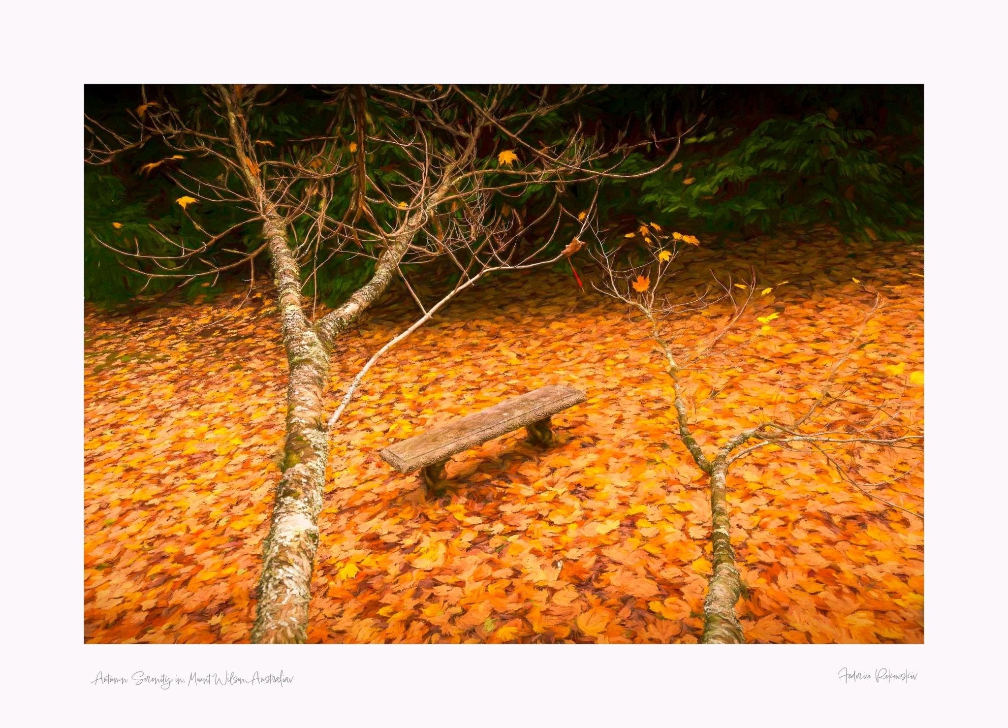 Autumn Serenity, Mount Wilson, Sydney Australia