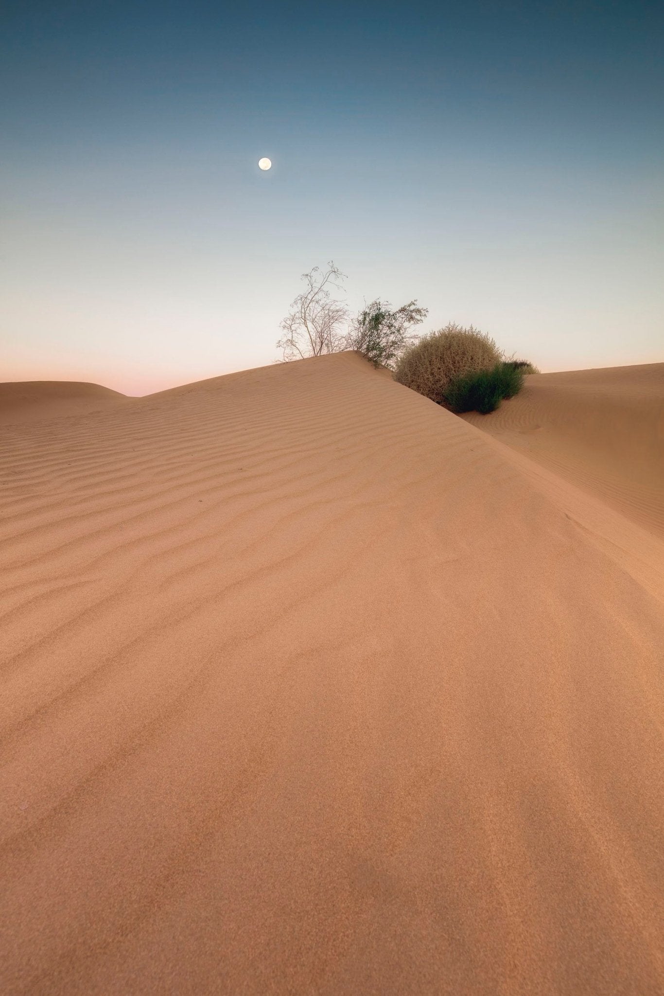 "Lunar Whisper over Mungo Dunes" - Mungo National Park, Australia