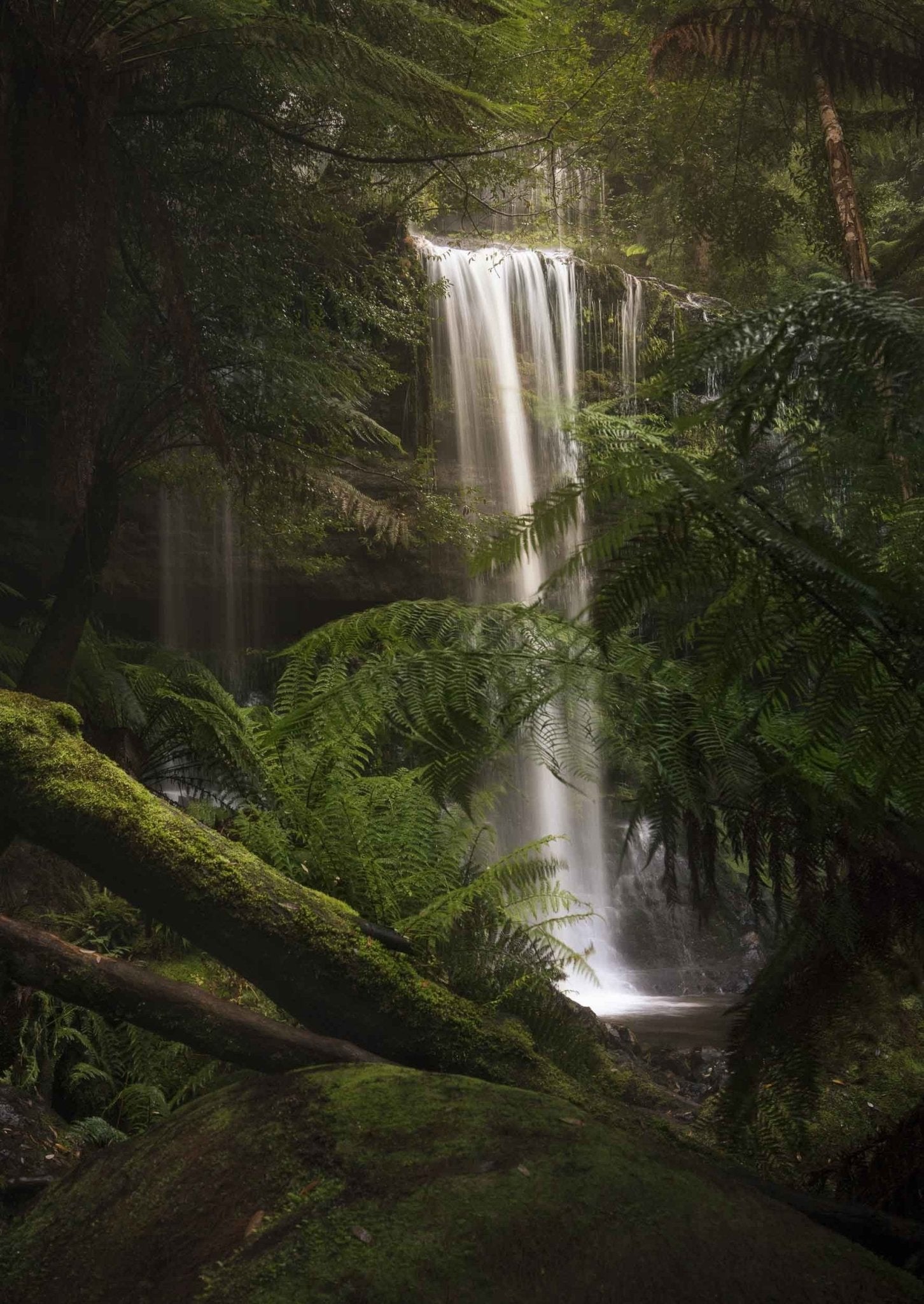 Russell Falls, Tasmania, Australia